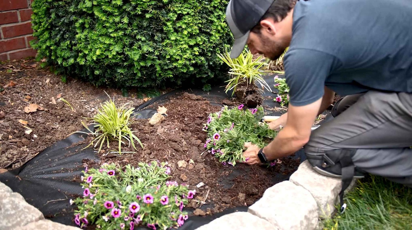 Professional mulching and flower bed installation service in Indio, CA